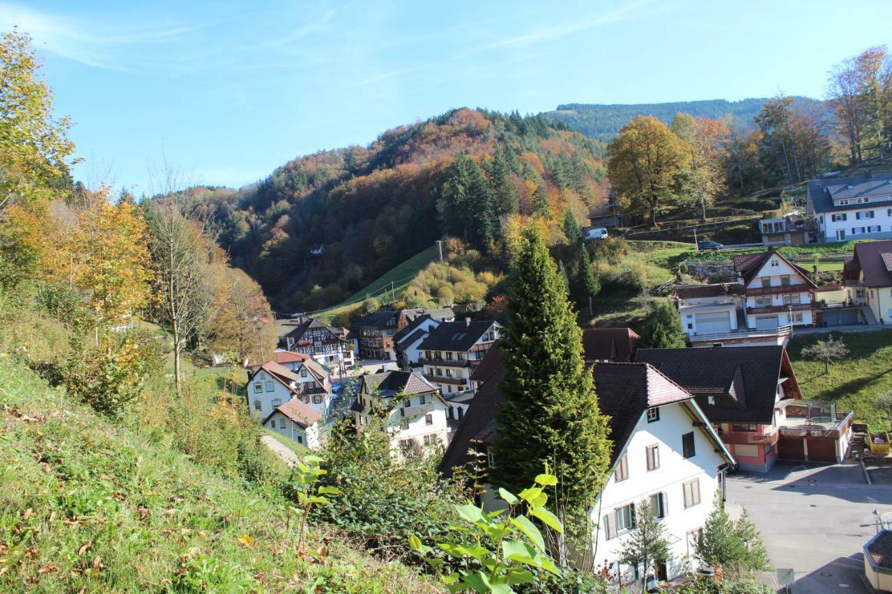 Appartement Haus Laetsch à Bad Peterstal-Griesbach Extérieur photo
