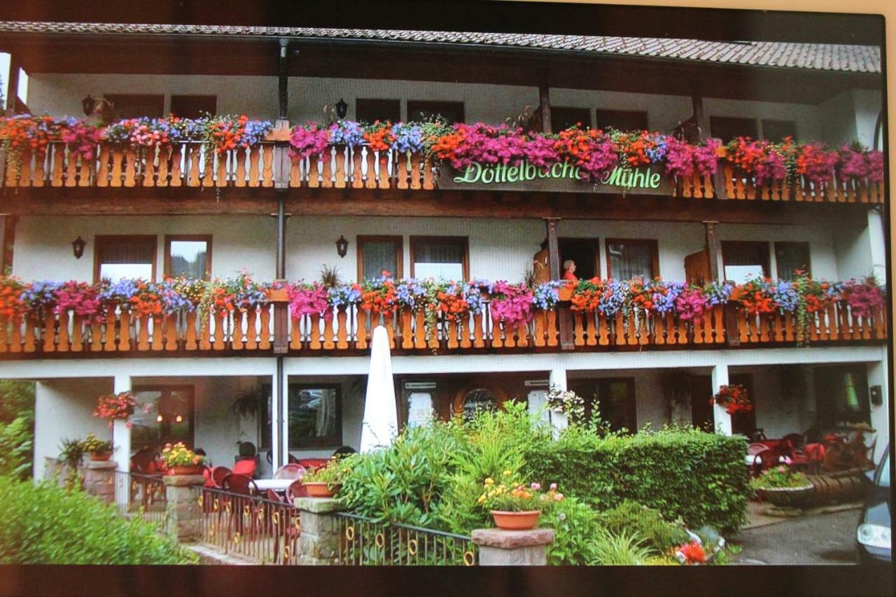 Appartement Haus Laetsch à Bad Peterstal-Griesbach Extérieur photo